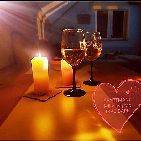 Apartmani Milosavljevic Divčibare מראה חיצוני תמונה